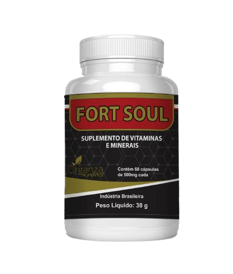 Fortsoul